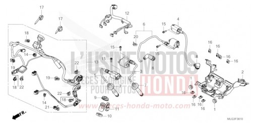FAISCEAU SECONDAIRE/BOBINE D'ALLUMAGE CRF1100D4N de 2022